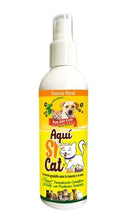 Adiestramiento Para Gato Aquí Sí Cat X 240 ML (Pets And Cats)