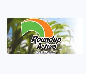 ROUNDUP ACTIVO X LITRO