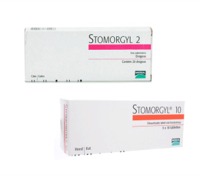 STOMORGYL X 20 COMPRIMIDOS