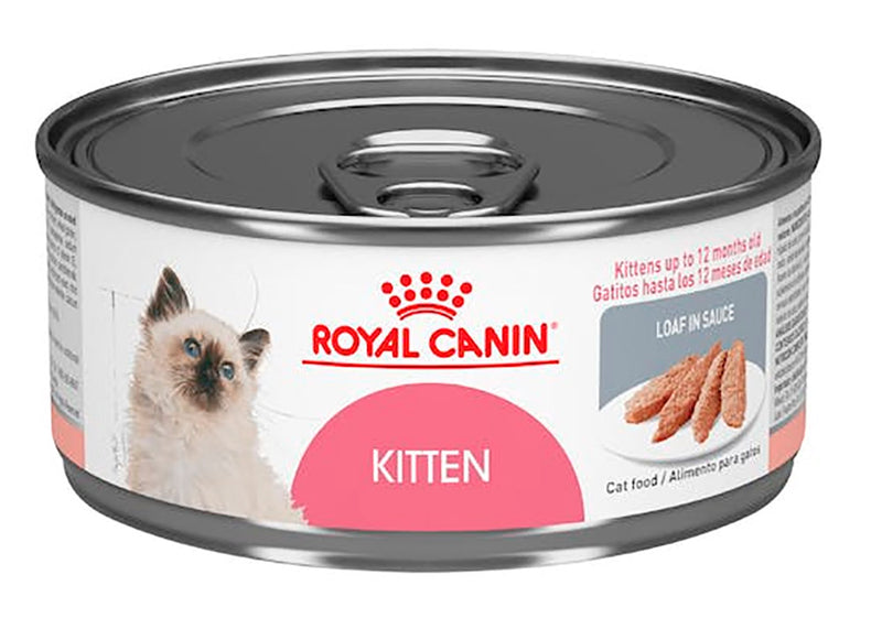 ROYAL FELINE LATA  KITTEN LOAF WET 85 GR