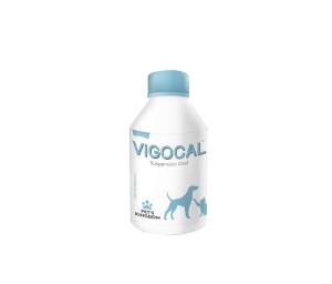 VIGOCAL (CALCIO) X 120 ML