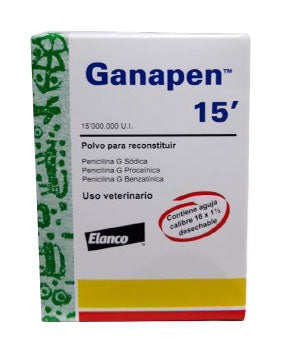 GANAPEN