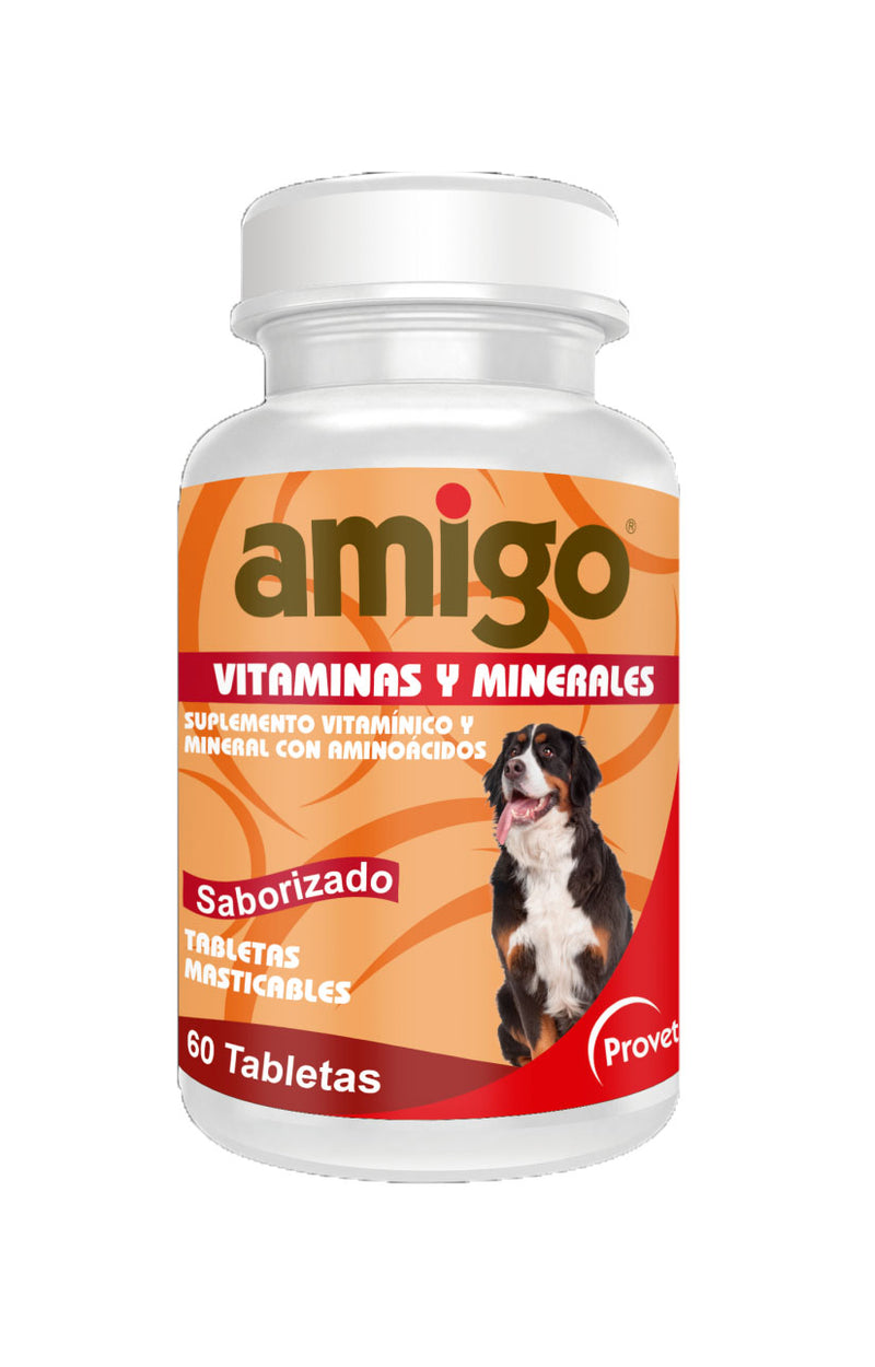 AMIGO VITAMINAS Y MINERALES FRASCO X 60 TABLETAS