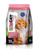 Comida Para Gato Adulto Br For Cat Salmon