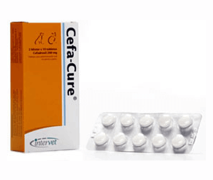 CEFA-CURE CAJA X 20 TABLETAS