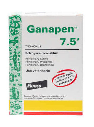 GANAPEN