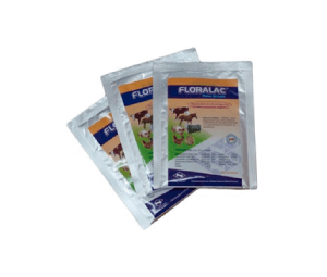 FLORALAC X 10 GR (PROBIOTICO)