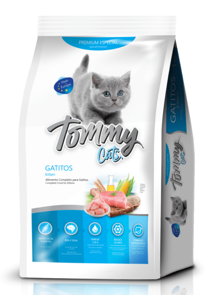 TOMMY CATS GATITOS