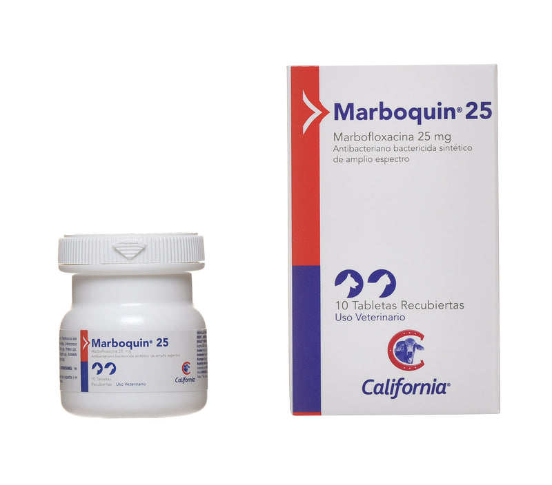 MARBOQUIN 25