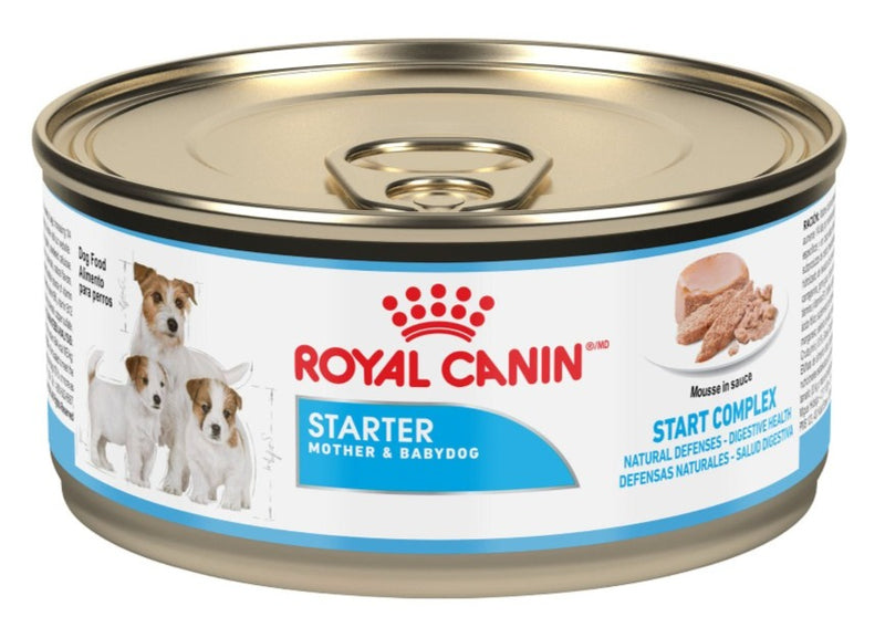 ROYAL CANIN STARTER MOUSSE LATA X 145 GR