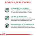 Comida Para Perro Royal Canin Mini Satiety Support Dog